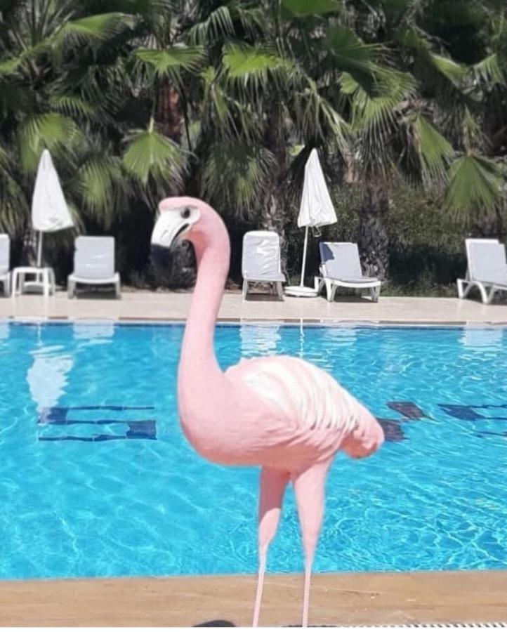 מנבגט Skys Beach Hotel מראה חיצוני תמונה