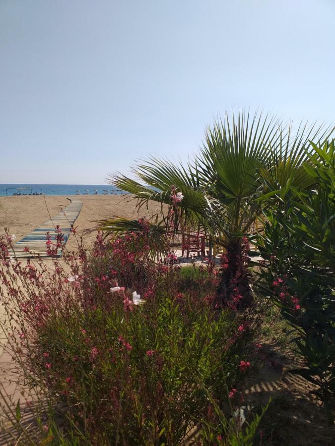 מנבגט Skys Beach Hotel מראה חיצוני תמונה